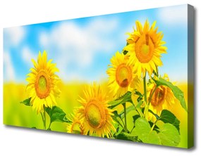Quadro su tela Girasole, fiori, natura 100x50 cm