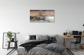 Quadro acrilico Nuvole di unicorno 100x50 cm