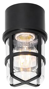 Lampada da soffitto e da parete nera con paralume trasparente IP54 - Kiki