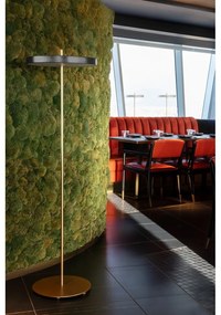 Lampada da terra dimmerabile a LED antracite con paralume in metallo (altezza 151 cm) Asteria Floor - UMAGE