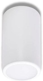 Faretto CLEO 1xE27/24W/230V bianco