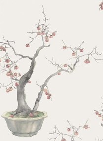 Cole & Son Tapete Kaki Persimmon - Silver