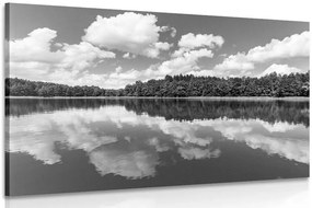 Stampa su tela – Natura in estate in bianco e nero