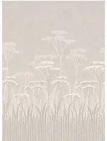 Little Greene Tapete Achillea - Brume