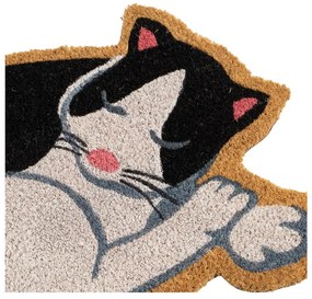 Zerbino in fibre di cocco 40x60 cm Cat – Casa Selección