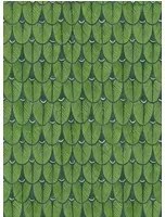 Cole & Son Carta da parati Narina - Leaf Green