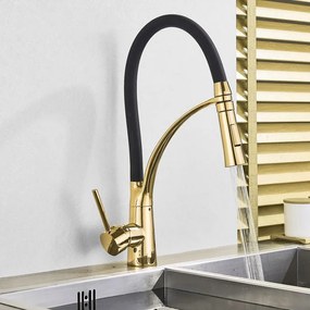 Rubinetto da cucina Rea GASPAR BLACK/GOLD High