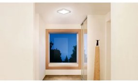 Steinel 052539 - Plafoniera LED con sensore LED/9,5W/230V