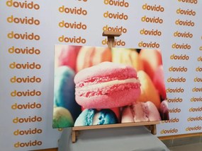Quadro su tela – Macaron colorati