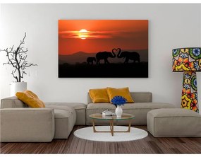 Quadro  Elephants in Love (1 Part) Wide  Colore Giallo, Dimensioni e Misure 90x60