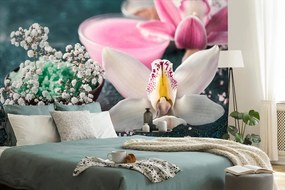 Carta da parati autoadesiva – Orchidea dettagliata meravigliosa