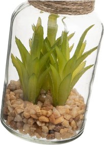 Set di piante finte 4 pz (altezza totale 12 cm) Cactus – Casa Selección