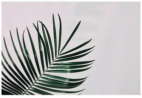 Carta da parati autoadesiva – Foglia di palma meravigliosa
