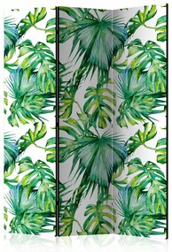 Paravento design Jungle Leaves [Room Dividers]