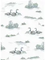 Coordonne Carta da parati Mallard Duck - Aqua