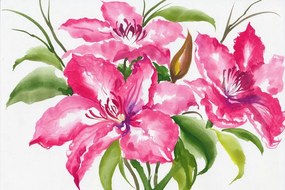 Carta da parati – Fiori splendidi