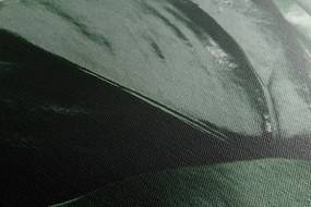 Quadro su tela – Foglia di monstera