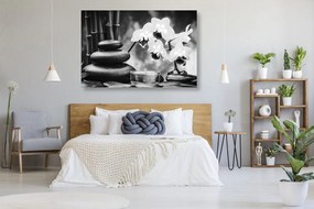 Quadro su tela – Natura morta spa in bianco e nero