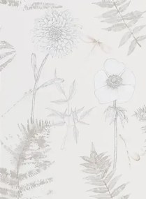 Designers Guild Carta da parati Acanthus - Ivory