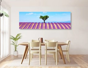 Quadro su tela – Campo di lavanda provenzale