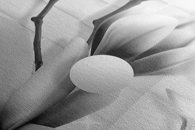 Quadro su tela – Magnolia in bianco e nero con elementi astratti