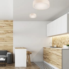 Lampada da soffitto 1xE27/60W/230V pino