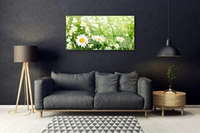 Quadro acrilico Pianta di fiori di margherita 100x50 cm