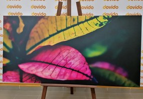 Quadro su tela – Foglie fresche