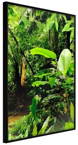 Poster  In the Rainforest  Cornice Quadri Cornice nera, Larghezza x Altezza Home decor 20x30