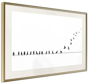 Poster  Birds on a Wire  Cornice Quadri Cornice d'oro con passe-partout, Larghezza x Altezza Home decor 30x20