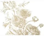 KEK Amsterdam Carta da parati panoramica Engraved Flowers Gold 2 - XL