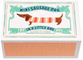 Peluche Mini Sausage Dog in a Little Box - Rex London