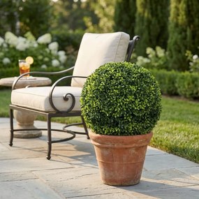 Sfera di bosso artificiale