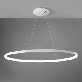 Lifering ovale sospensione 80w white