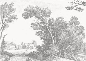 Carta da parati in tessuto non tessuto Engraved Landscapes V