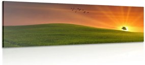 Quadro su tela – Albero nel prato