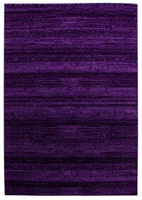 Tappeto viola scuro 160x230 cm Plus - Ayyildiz Carpets