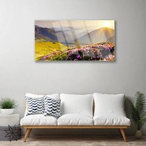Quadro acrilico Paesaggio del prato di montagna 100x50 cm
