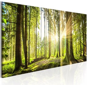 Quadro Daylight  Colore Verde, Dimensioni e Misure 150x50