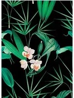 Florale Tapete Palm Springs von MINDTHEGAP - WP20360