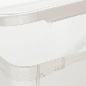 Plastový úložný box s víkem – Rotho