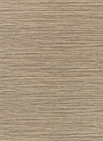 Osborne & Little Tapete Bahia - Charcoal