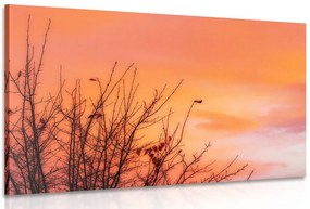Quadro su tela – Cielo colorato