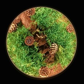 Li-Go 23654 - Decorazione da tavolo dimmerabile LED/12W/230V 20x22 cm muschio