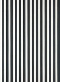 Farrow & Ball Carta da parati Closet Stripe - Pointing/ Off-Black