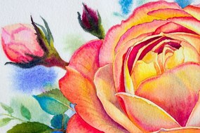 Stampa su tela – Rose in sfumature rosa