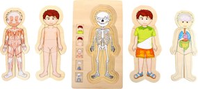 Puzzle di legno - Anatomia del ragazzo Tim