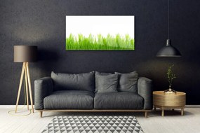 Quadro su vetro acrilico Erba, piante, natura 100x50 cm