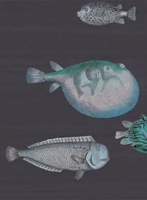 Cole & Son Carta da parati Acquario - Tiefseeblau