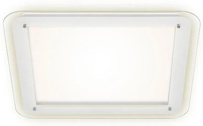 Briloner 3397-016 - Plafoniera LED FREE LED/22W/230V